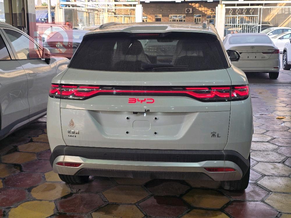 بي واي دي سونغ L DM-i